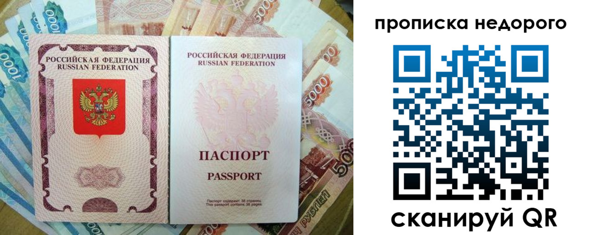 прописка поиск в Ставрополе